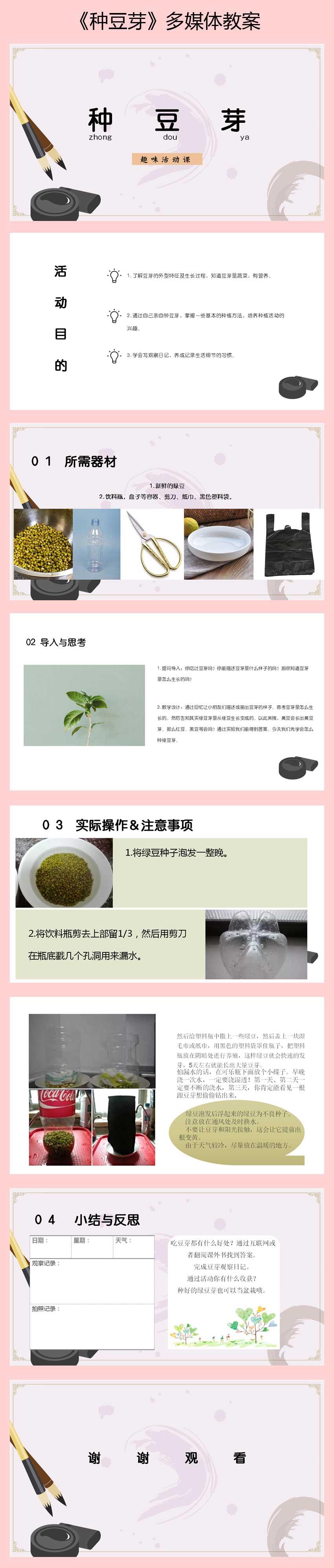 《种豆芽》多媒体教案.jpg