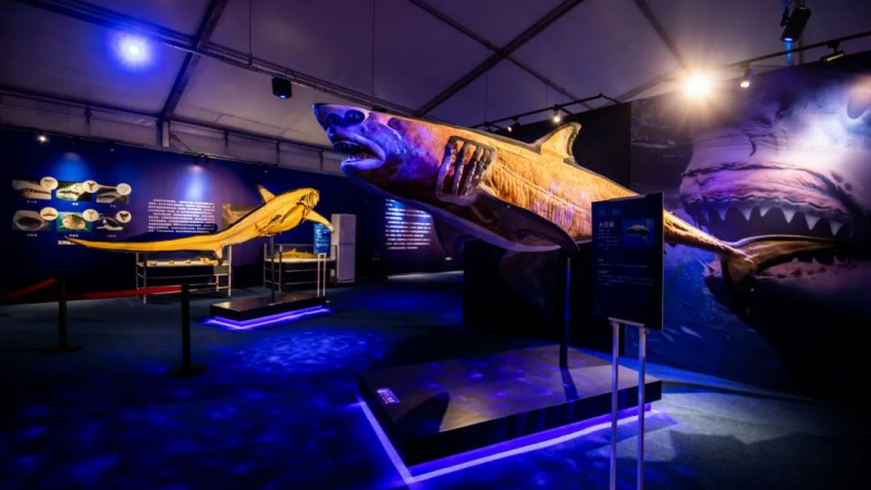 图片3_副本.png 图片3_副本.png