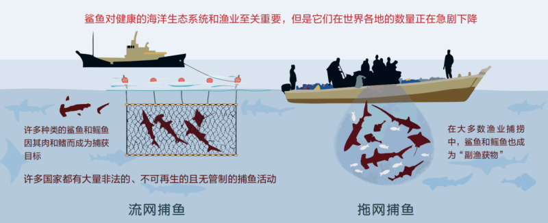 图片5_副本.png 图片5_副本.png